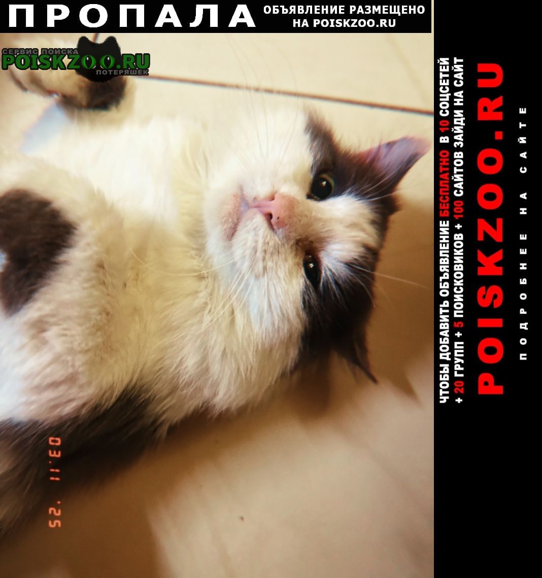 ���� ������ ���