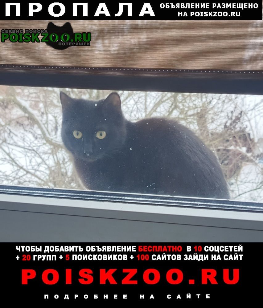 ���� ������� ����� ��������� ������