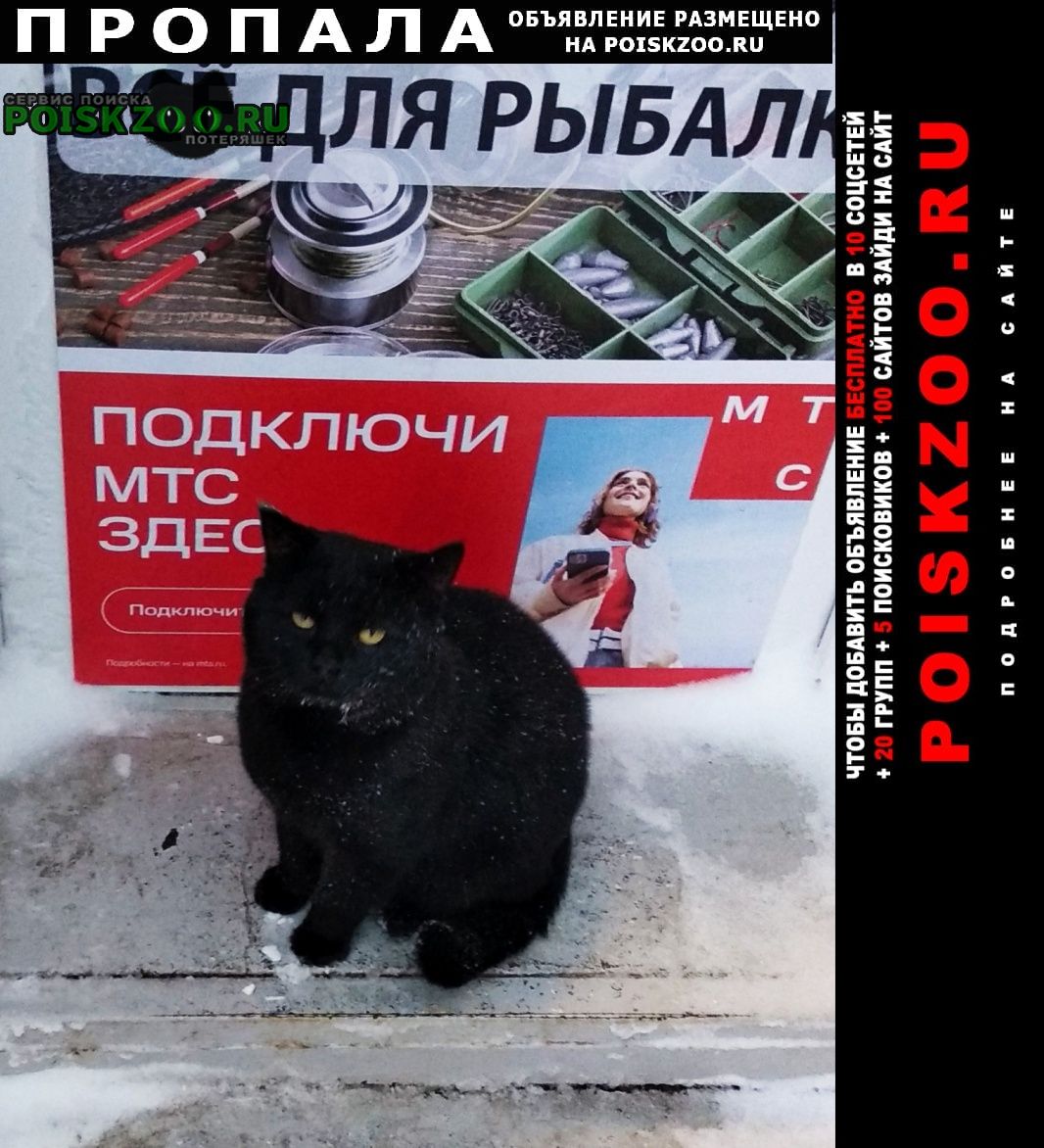 ���� ������ ���