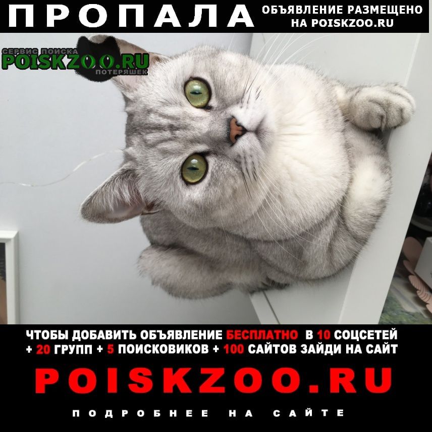 ���� ������ ���