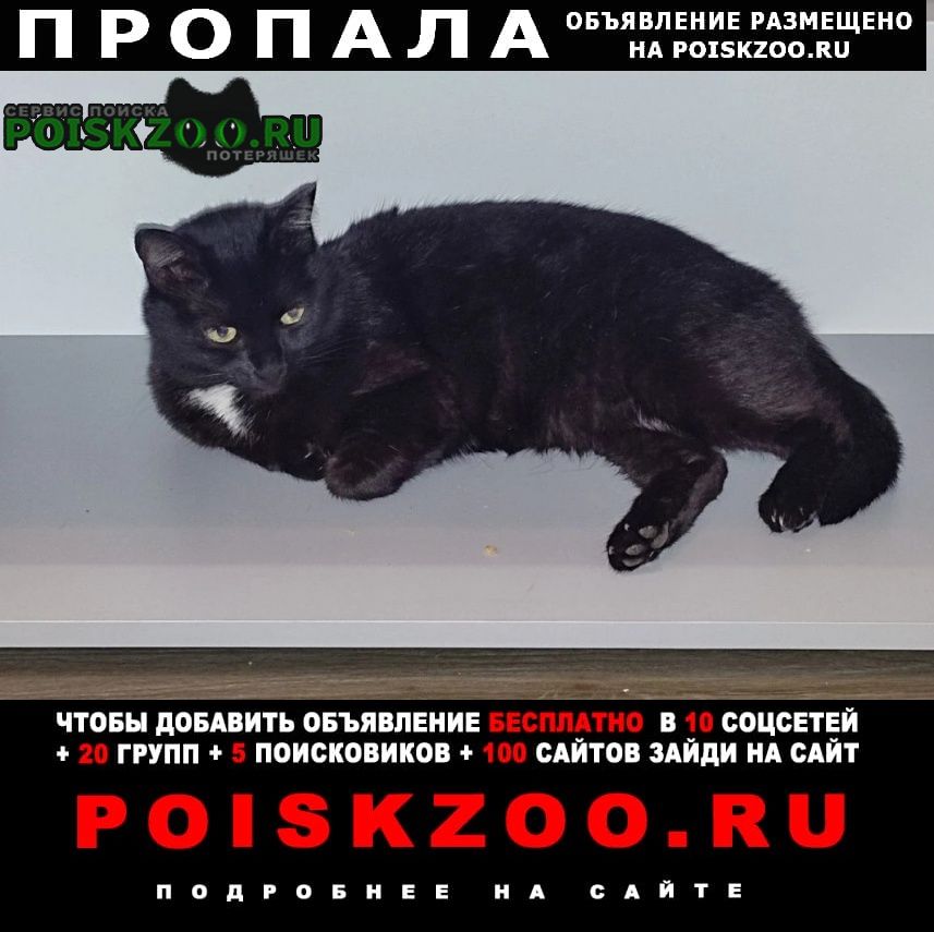 ���� ������� �����