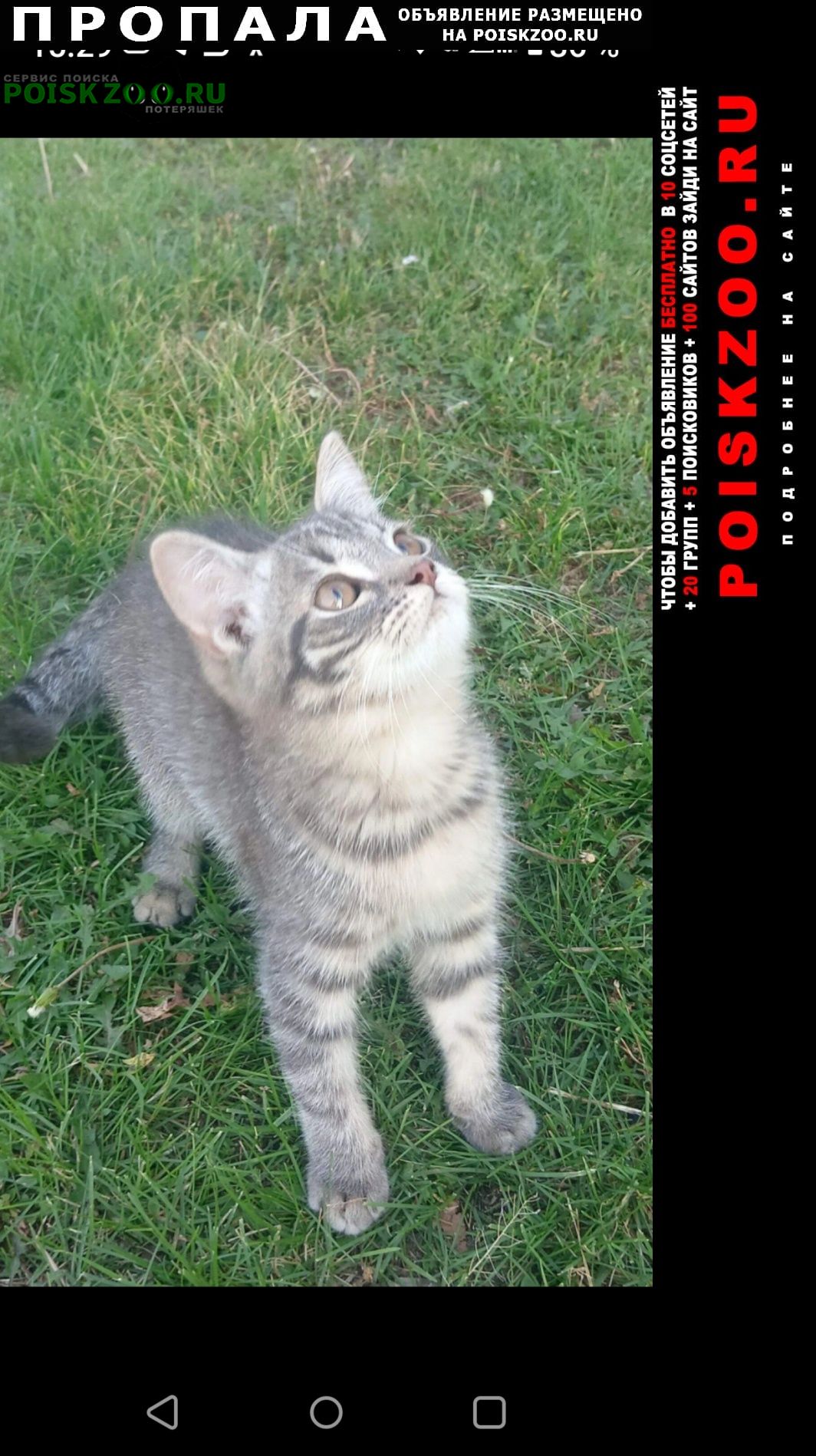 ���� ������ ����� 10 �������