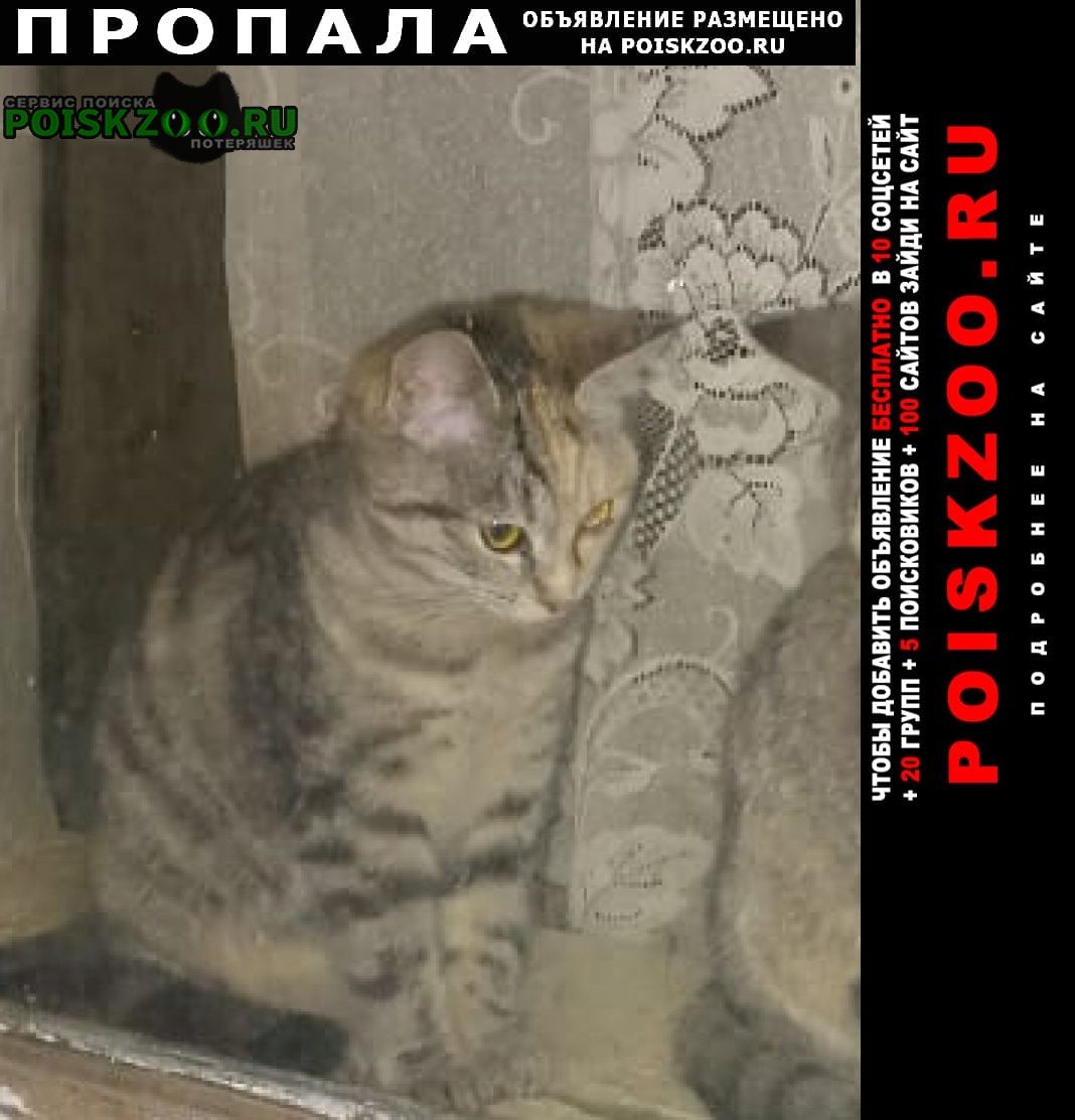 ���� ������� �����