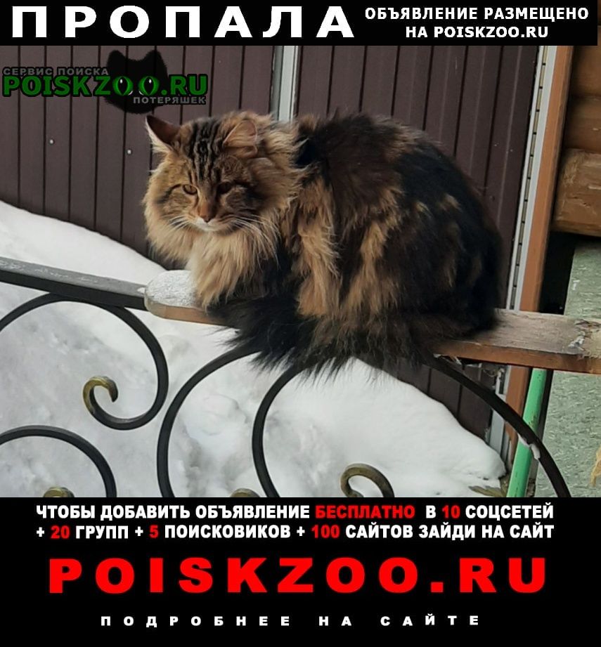 ���� ������ ���