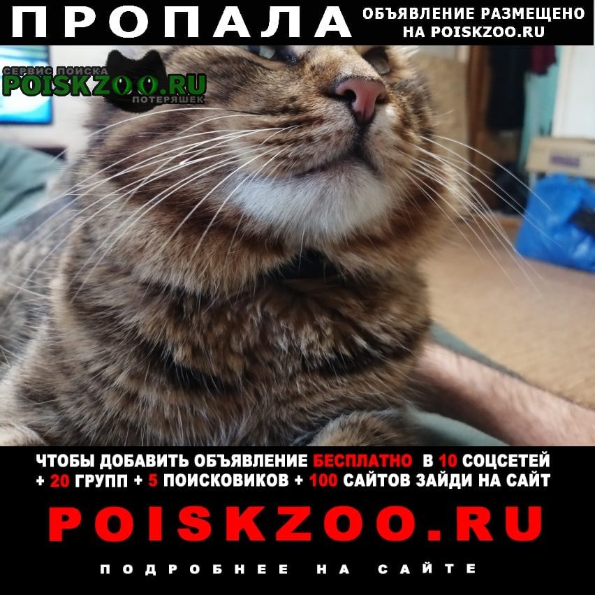 ���� ������ ���