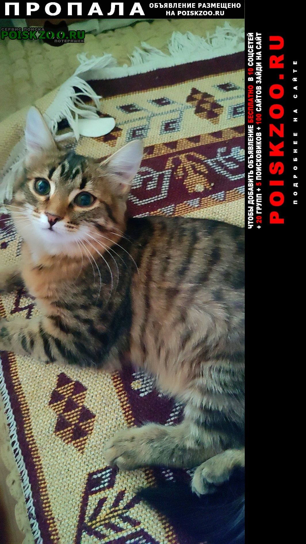 ���� ������� ����� ��������� �������