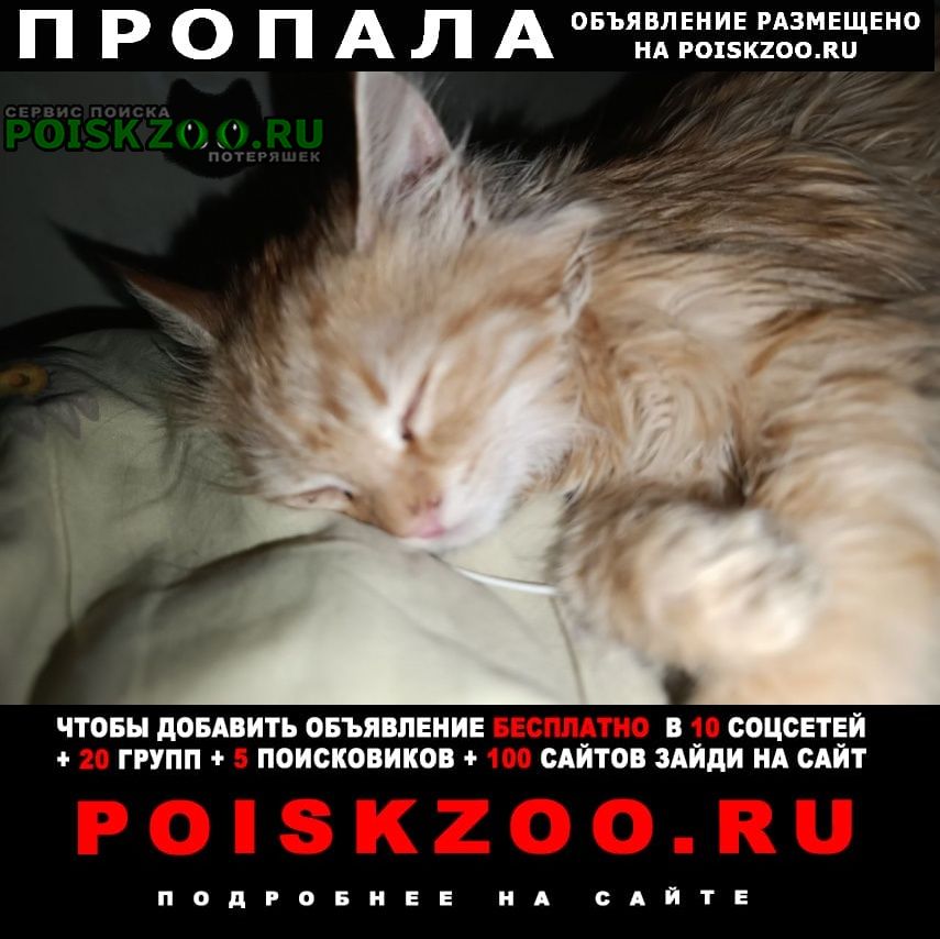 ���� ������� �����