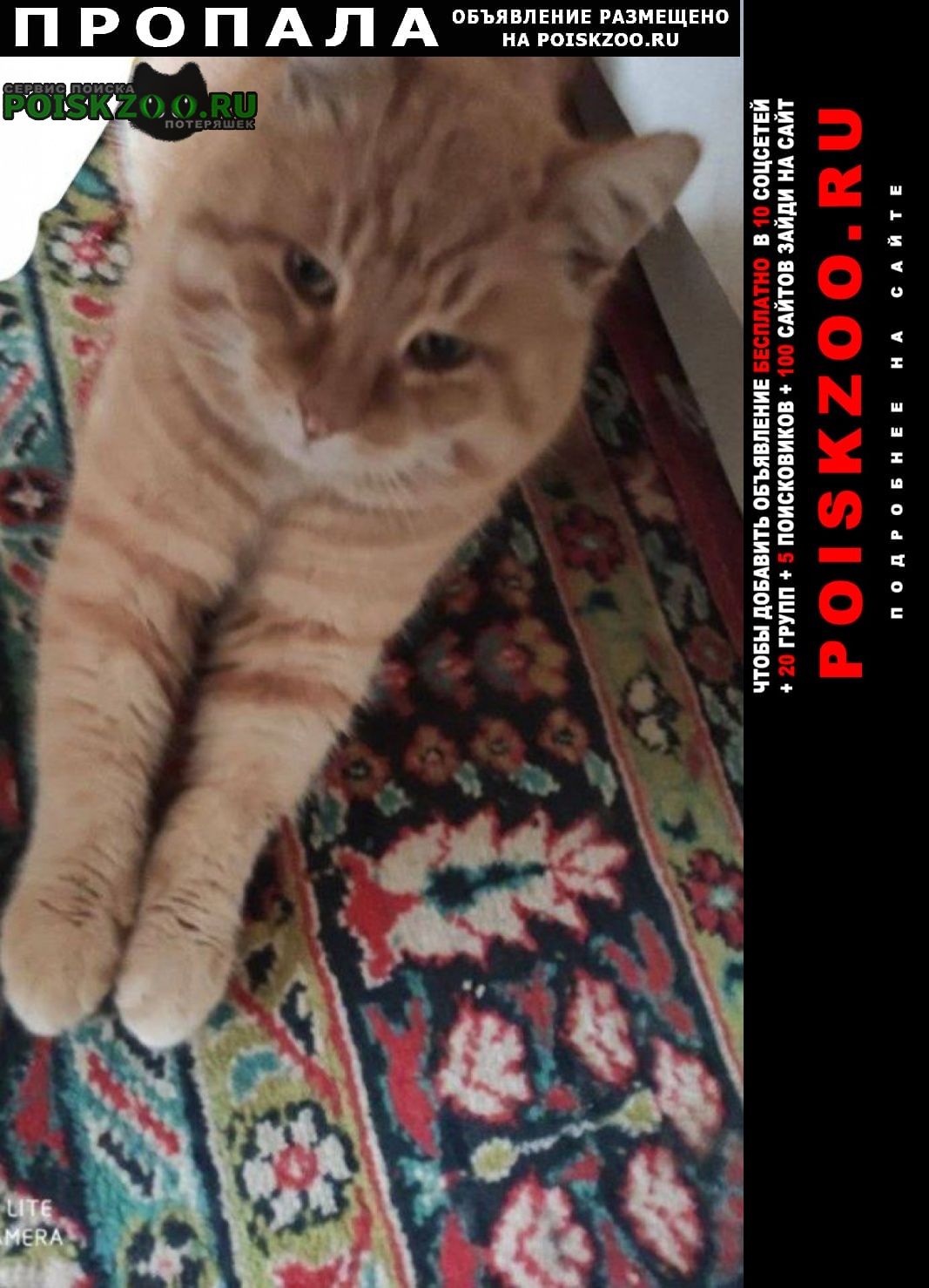 ���� ������ ���, �����