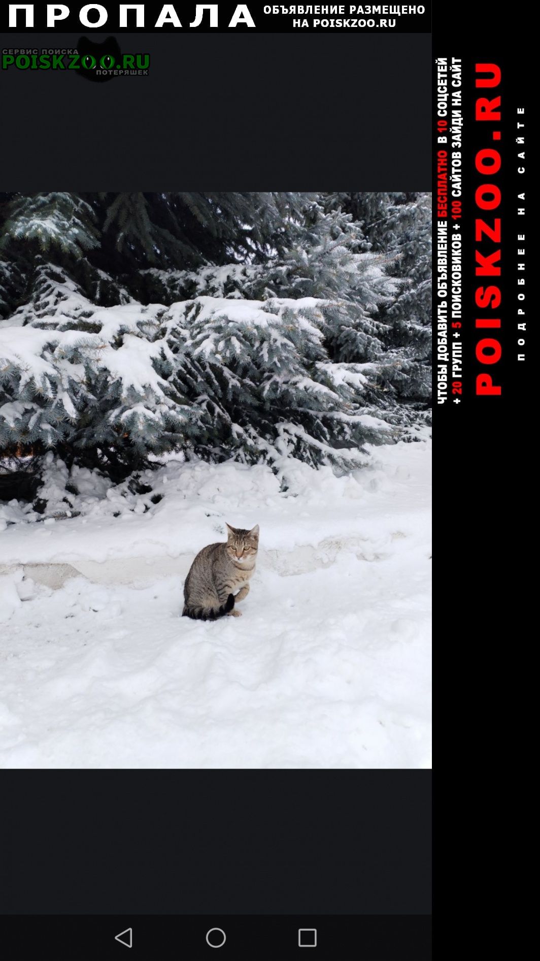 ���� ������ ��� ��