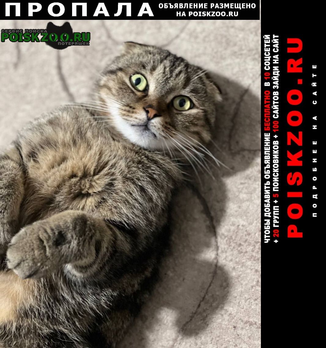 ���� ������ ���