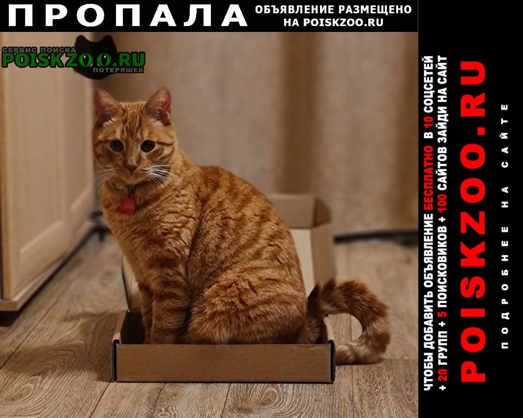 ���� ������ ��� �������������� 7 0 0 0