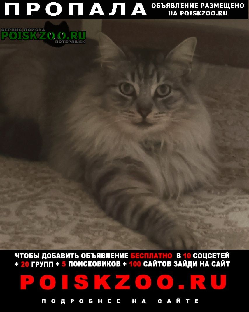 ���� ������ ��� ����� ���