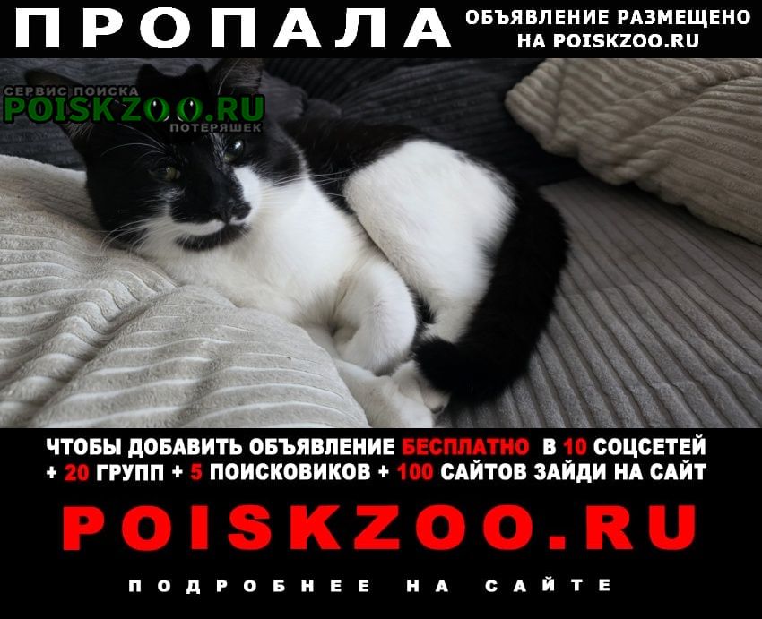 ���� ������ ��� �����-����� ���