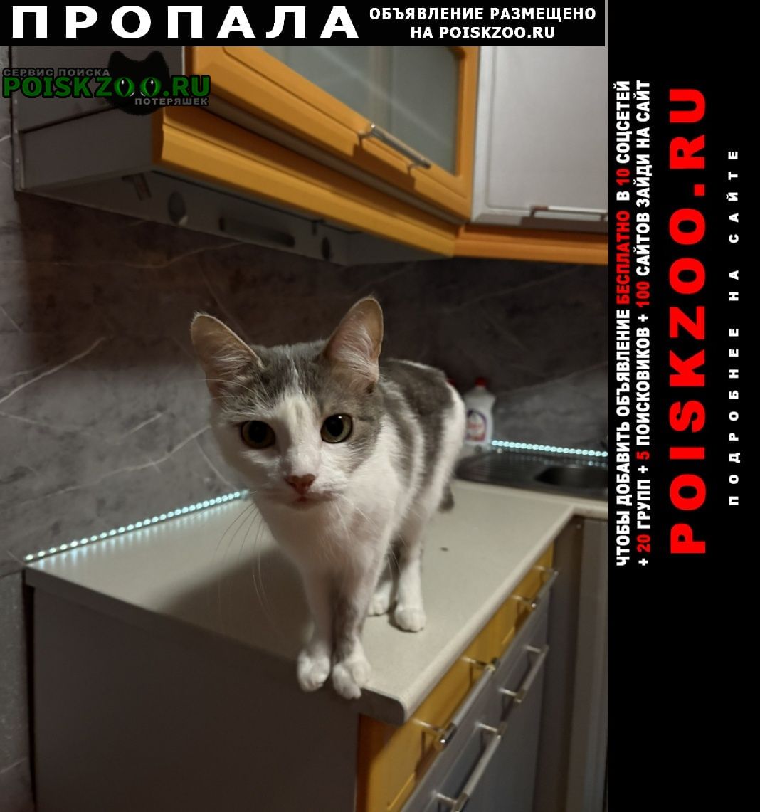 ���� ������� ����� ����� ����������� �����