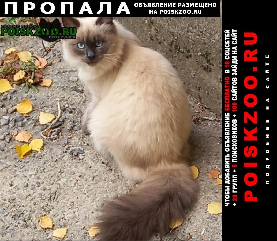 ���� ������� ����� ������� �����������.