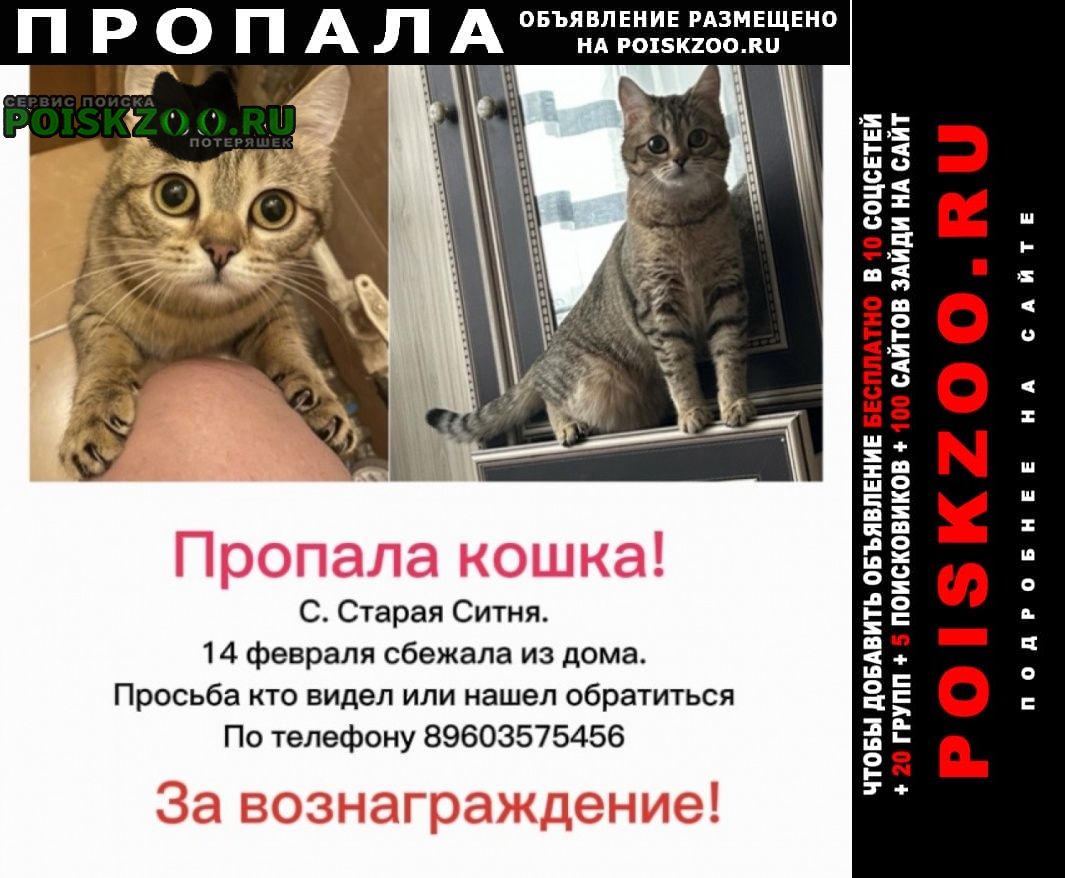 ���� ������� ����� �����, �����������