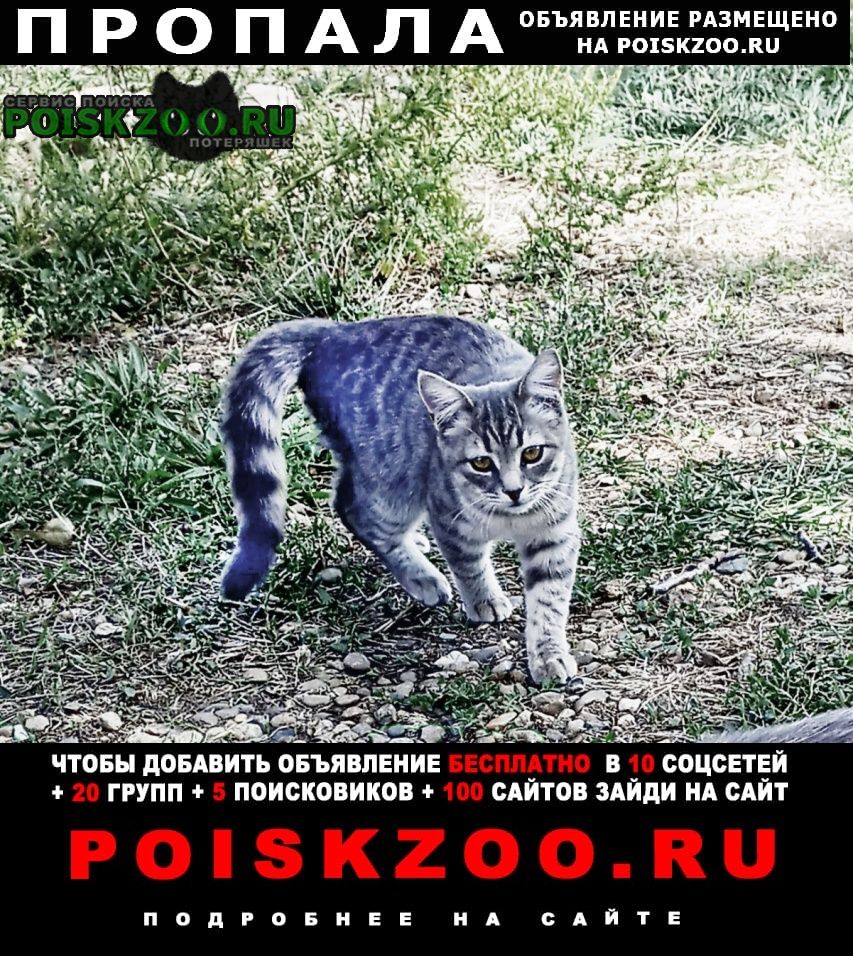 ���� ������� ����� � �. ���������� �� �� �����