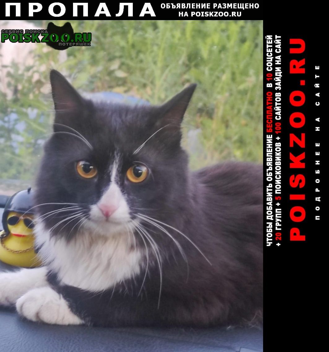 ���� ������ ��� ���������� �� ������