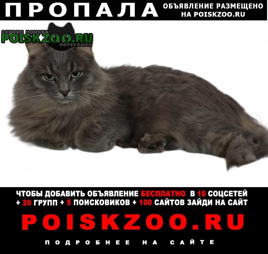 ���� ������ ��� �������� ����� ���. ������.