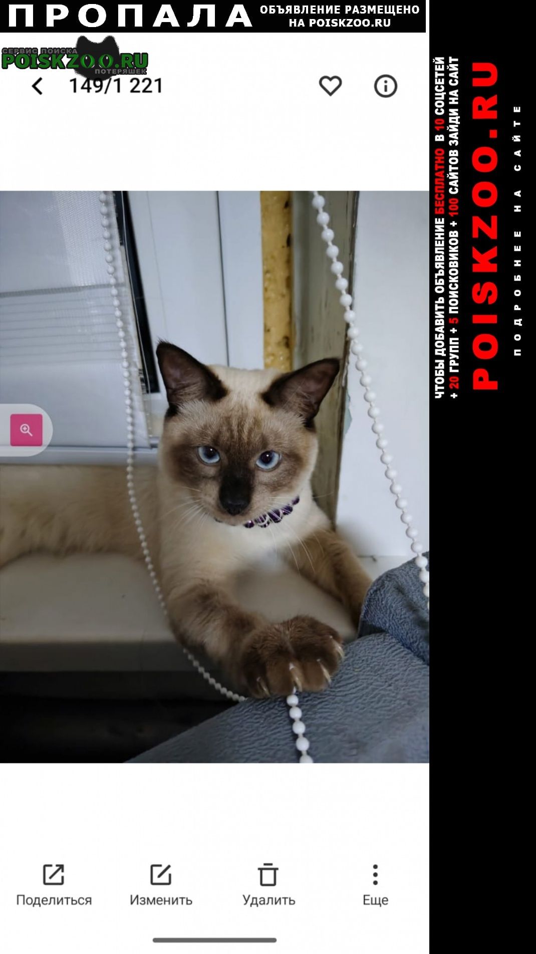 ���� ������ ���