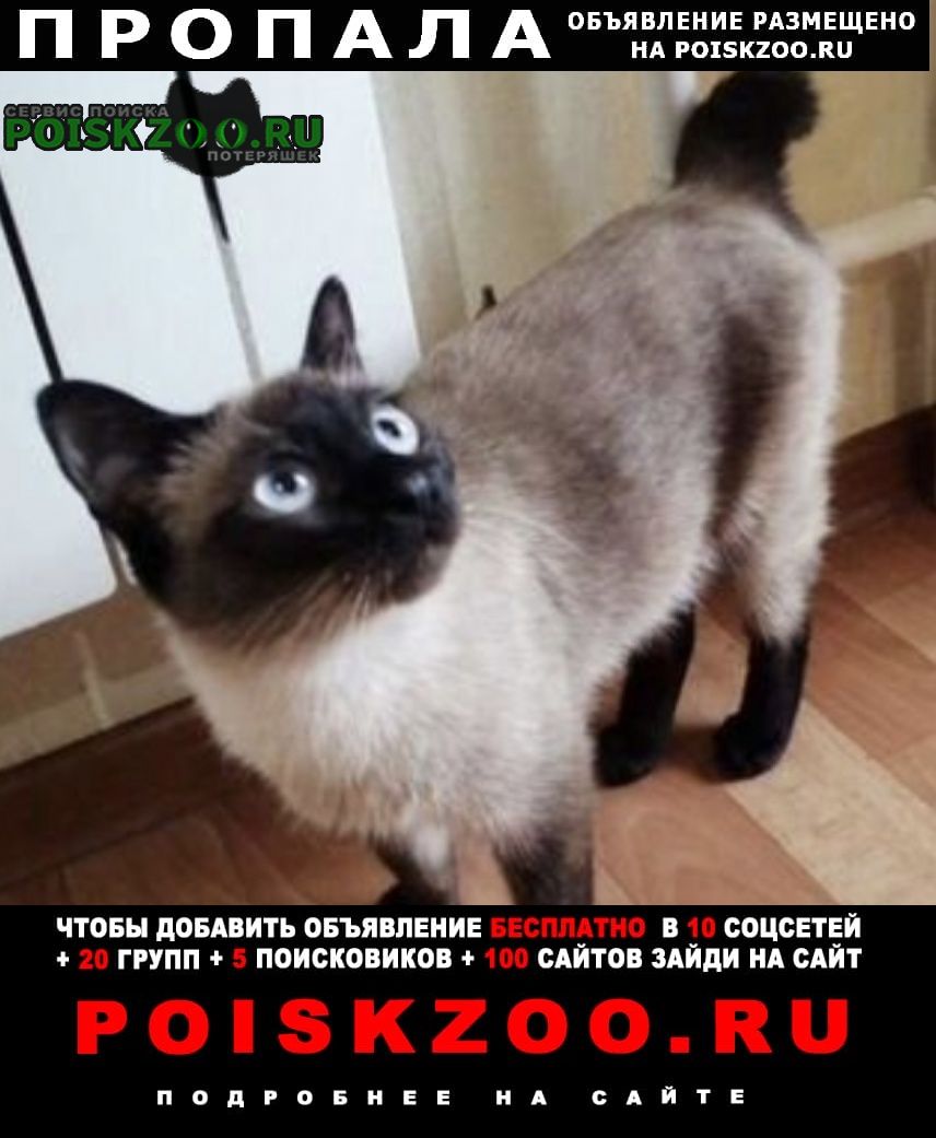 ���� ������� �����