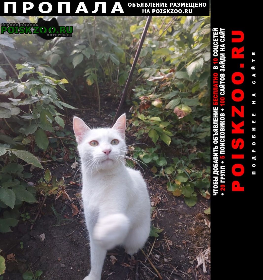 ���� ������ ��� �� ������ ����