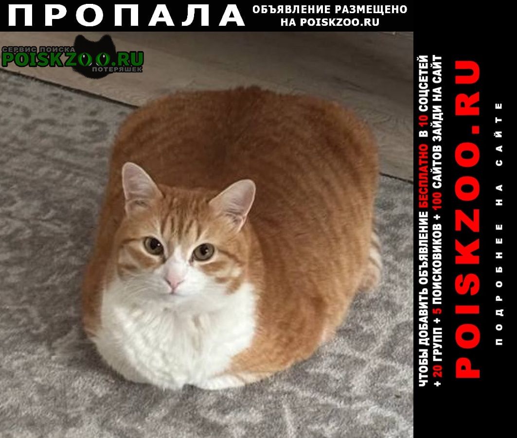 ���� ������ ��� ����� � ������� ���