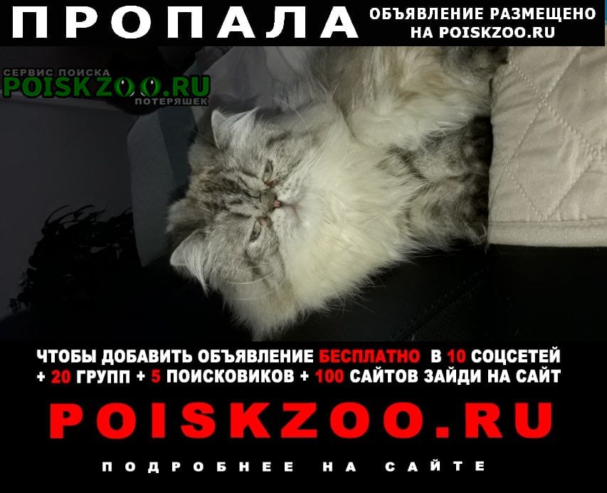 ���� ������ ��� ���������� ���