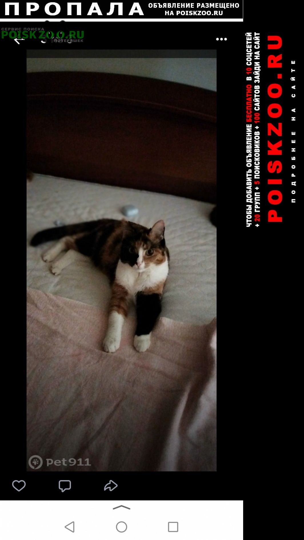 ���� ������� ����� ����