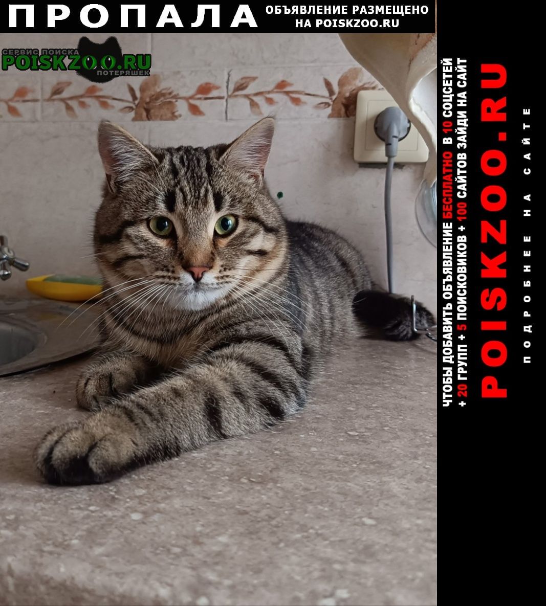 ���� ������ ��� �������� �����