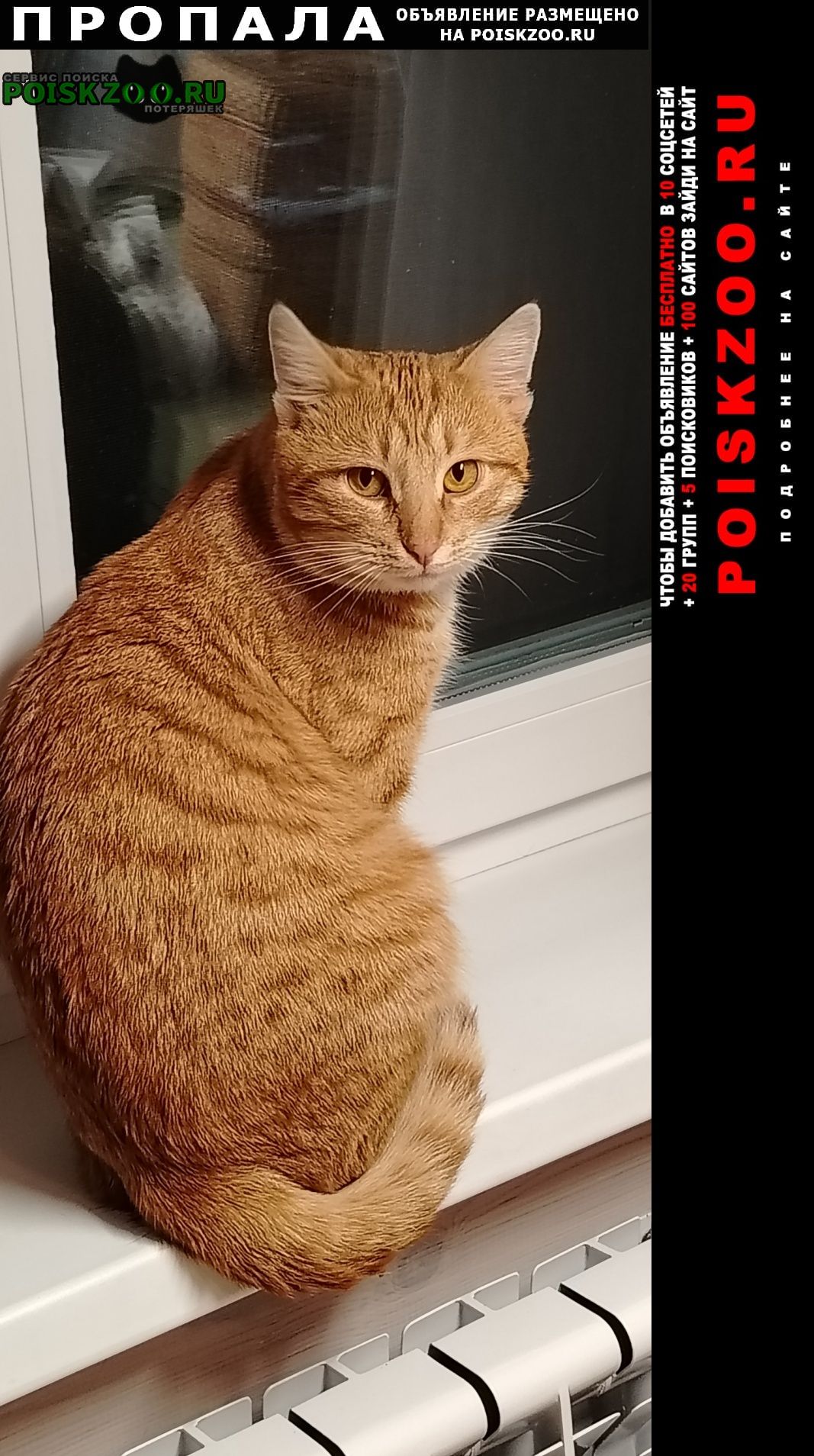 ���� ������ ��� ��