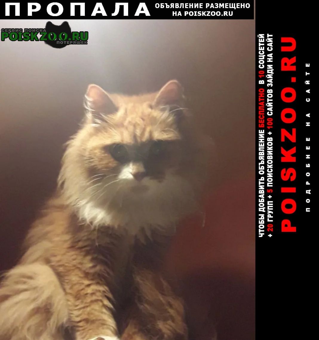 ���� ������� ����� ��� ��� �������. ��� �����