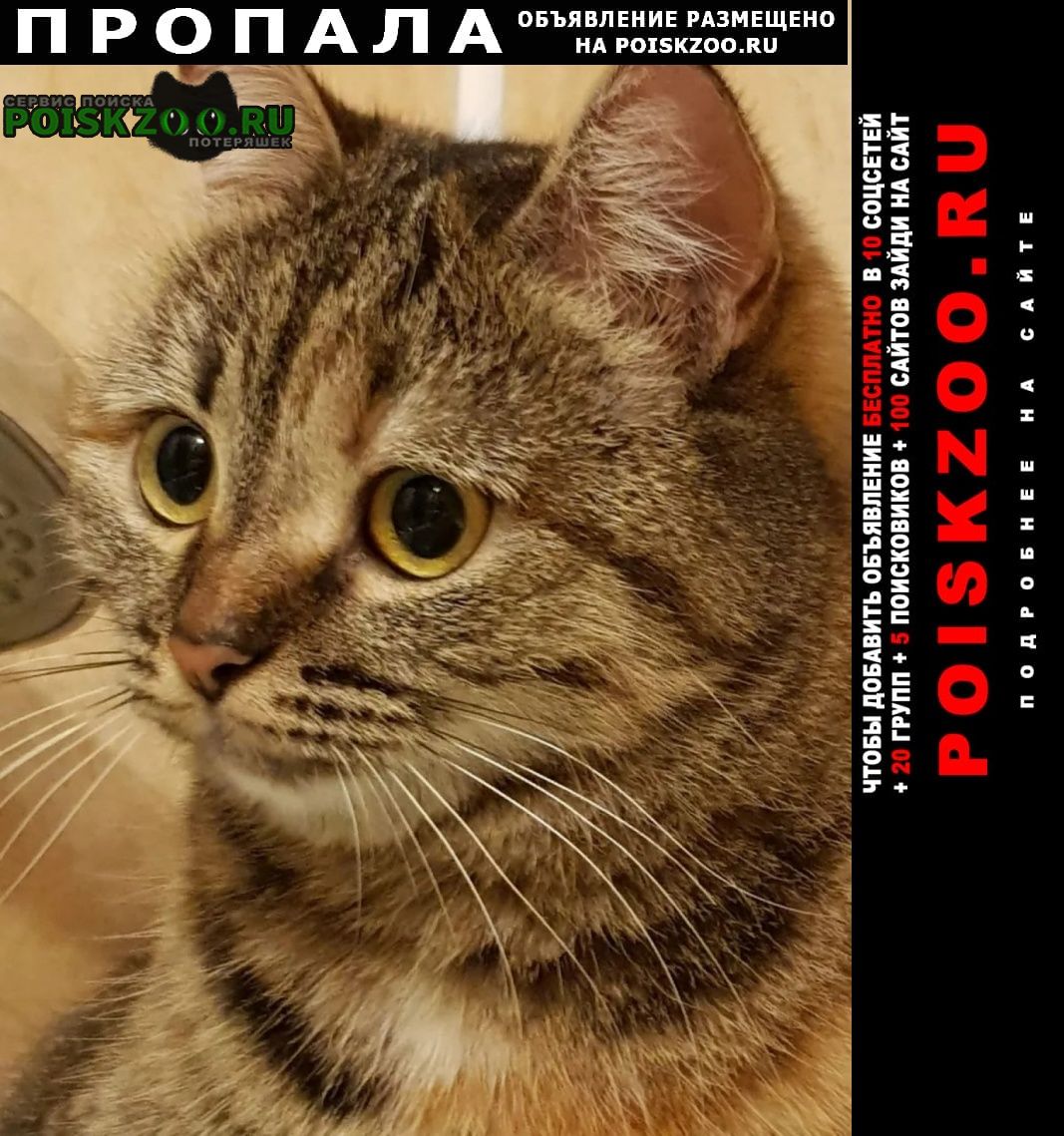 ���� ������� ����� ��� ���� �������. ��� �����.