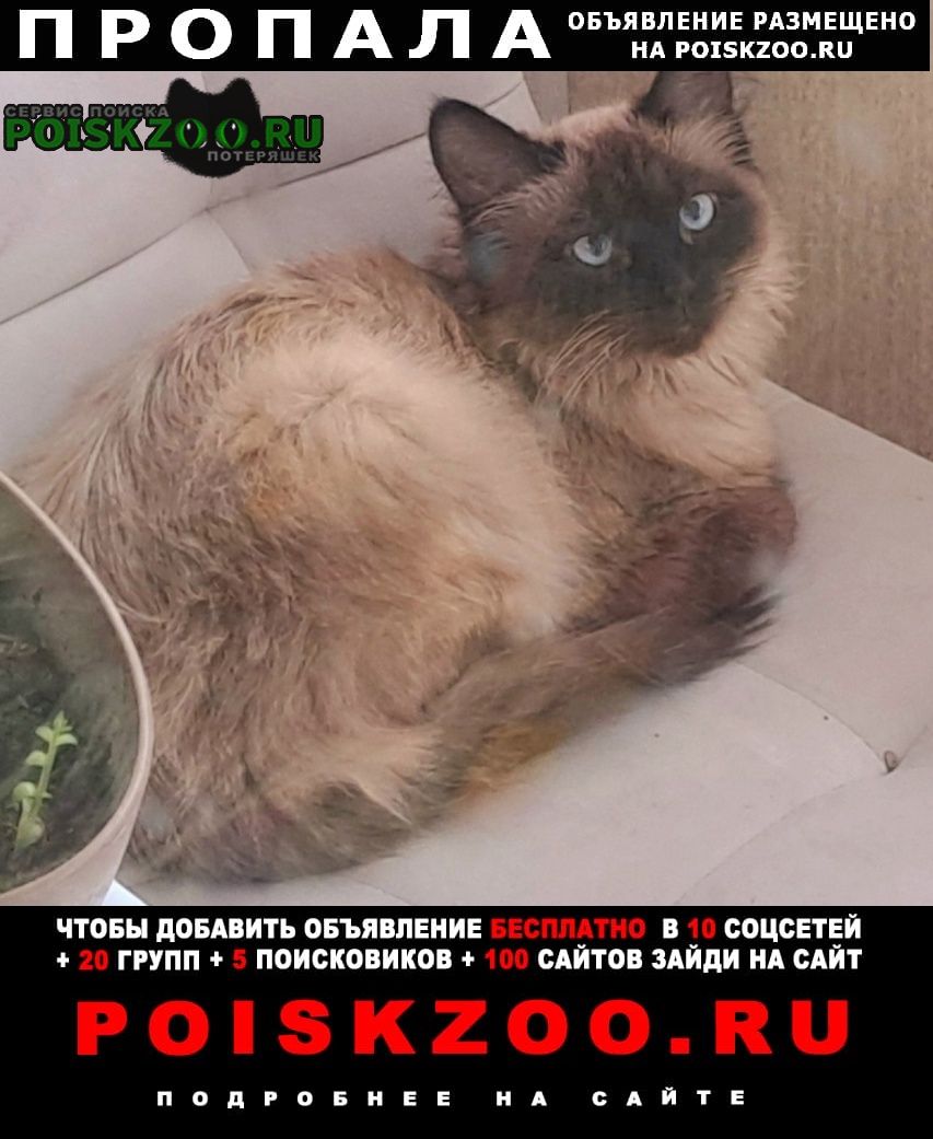 ���� ������� �����