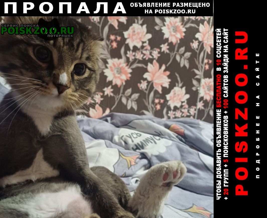 ���� ������ ���