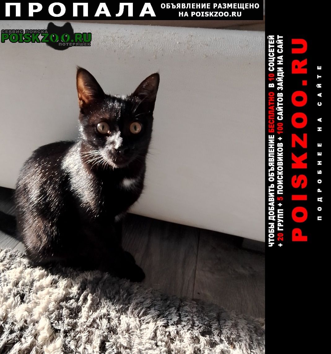 ���� ������� ����� ������� ��� �� ������� 55