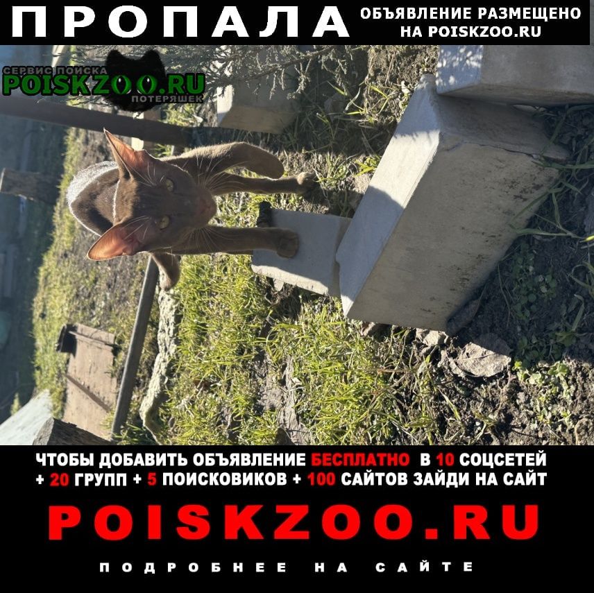 ���� ������ ��� �������� ����������� ������