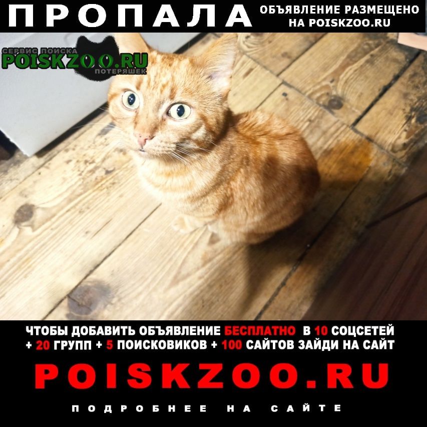 ���� ������� ����� ���