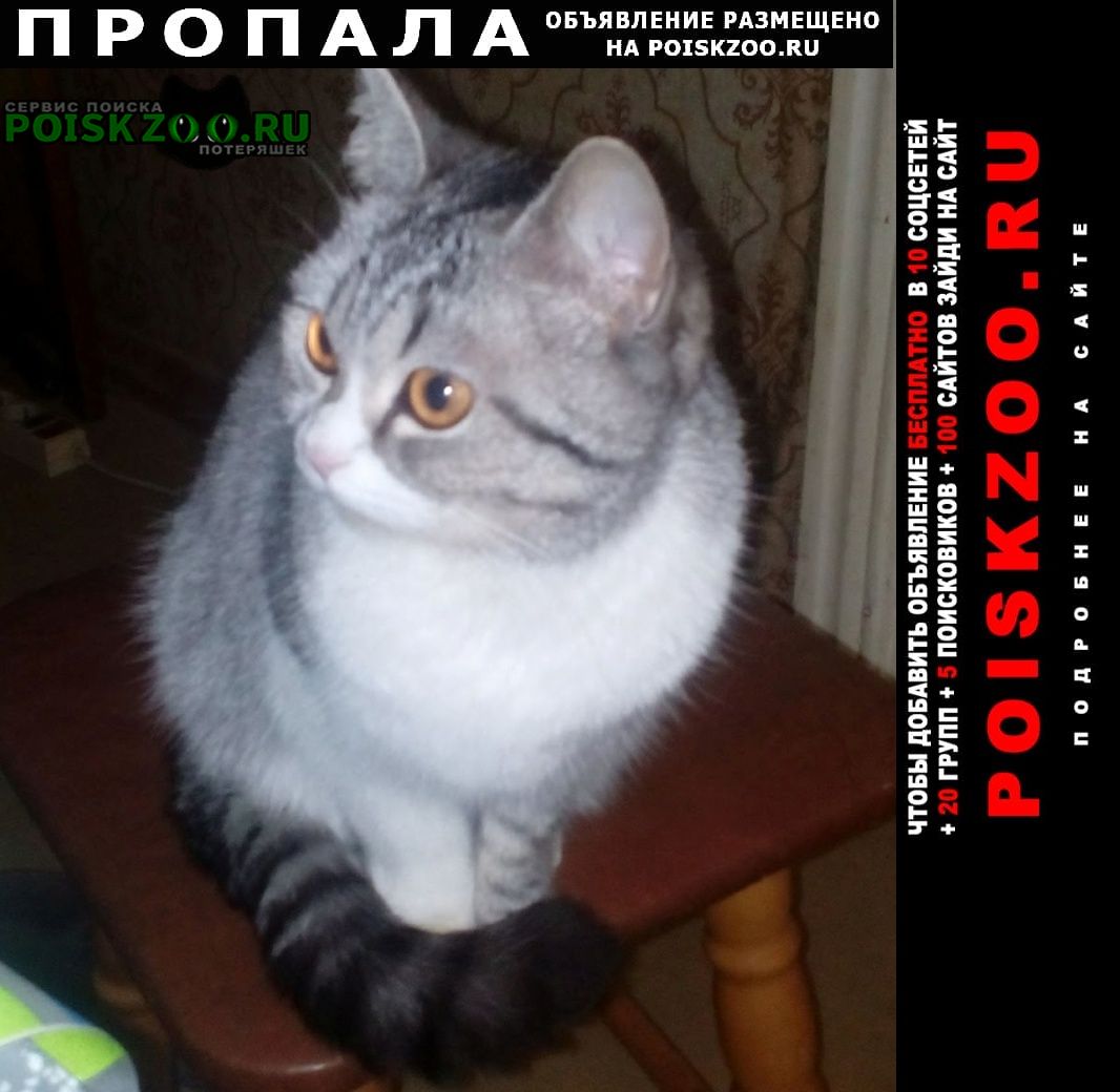 ���� ������� ����� ������������. ����� ���������� �������