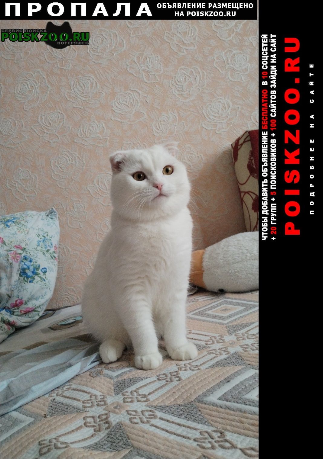 ���� ������ ����� 9 �����