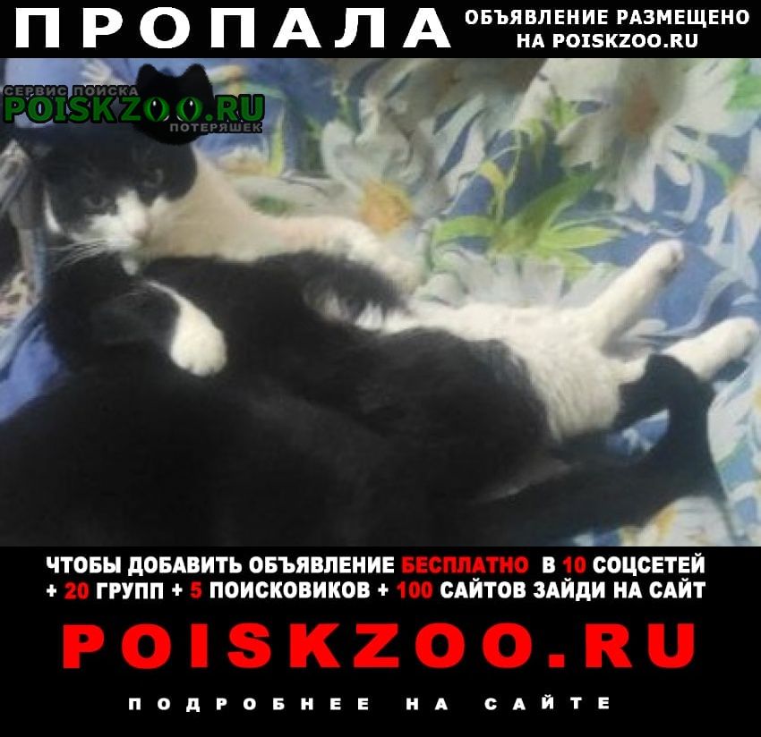 ���� ������ ��� ����