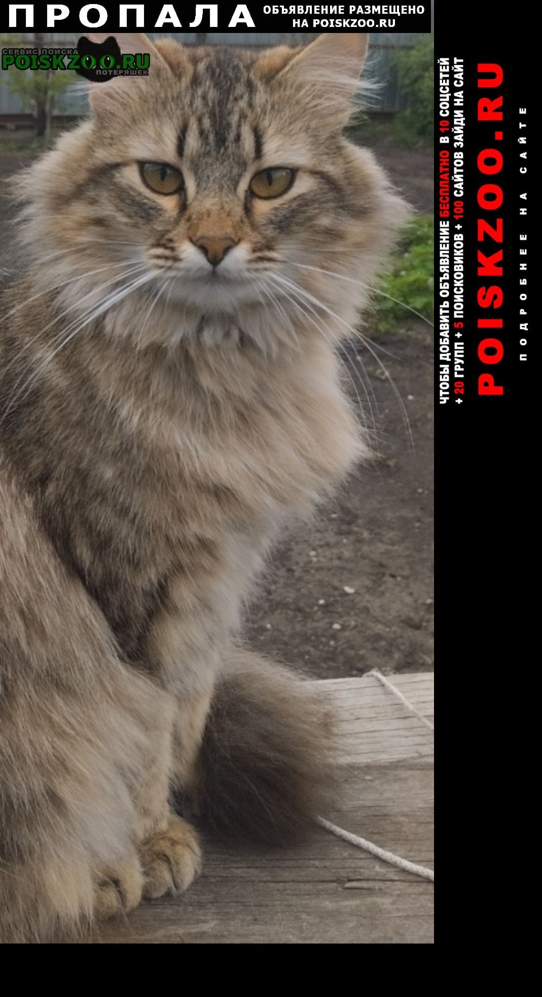 ���� ������ ��� ������ ���� ����� ���������