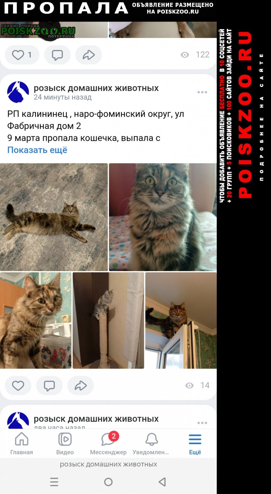 ���� ������� �����