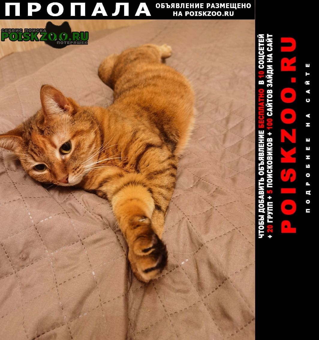 ���� ������� �����