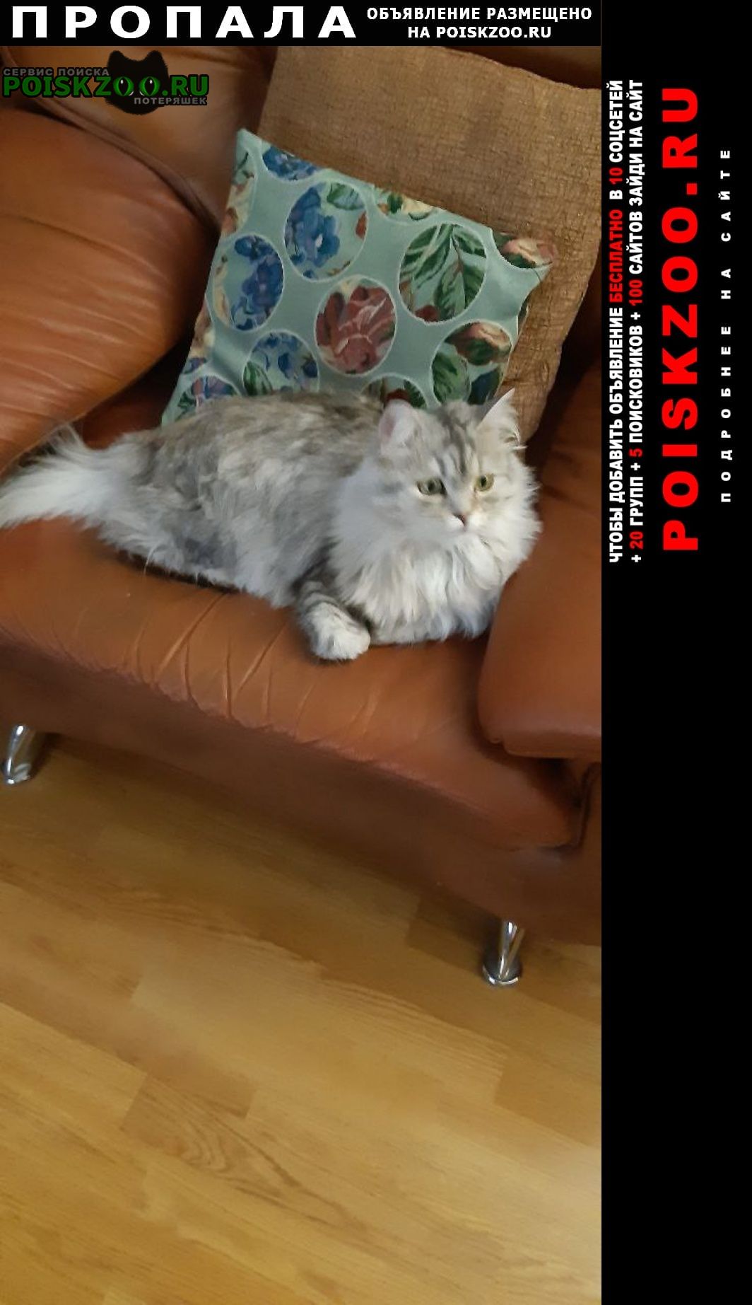 ���� ������ ��� �����