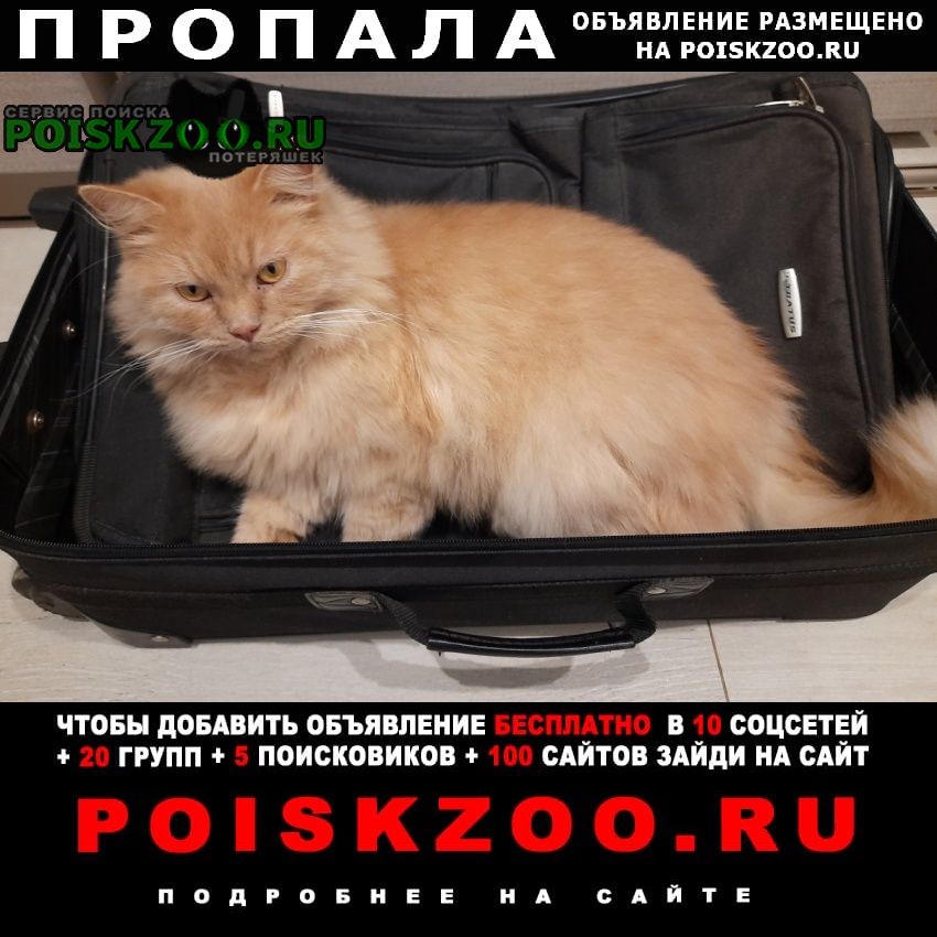 ���� ������ ���