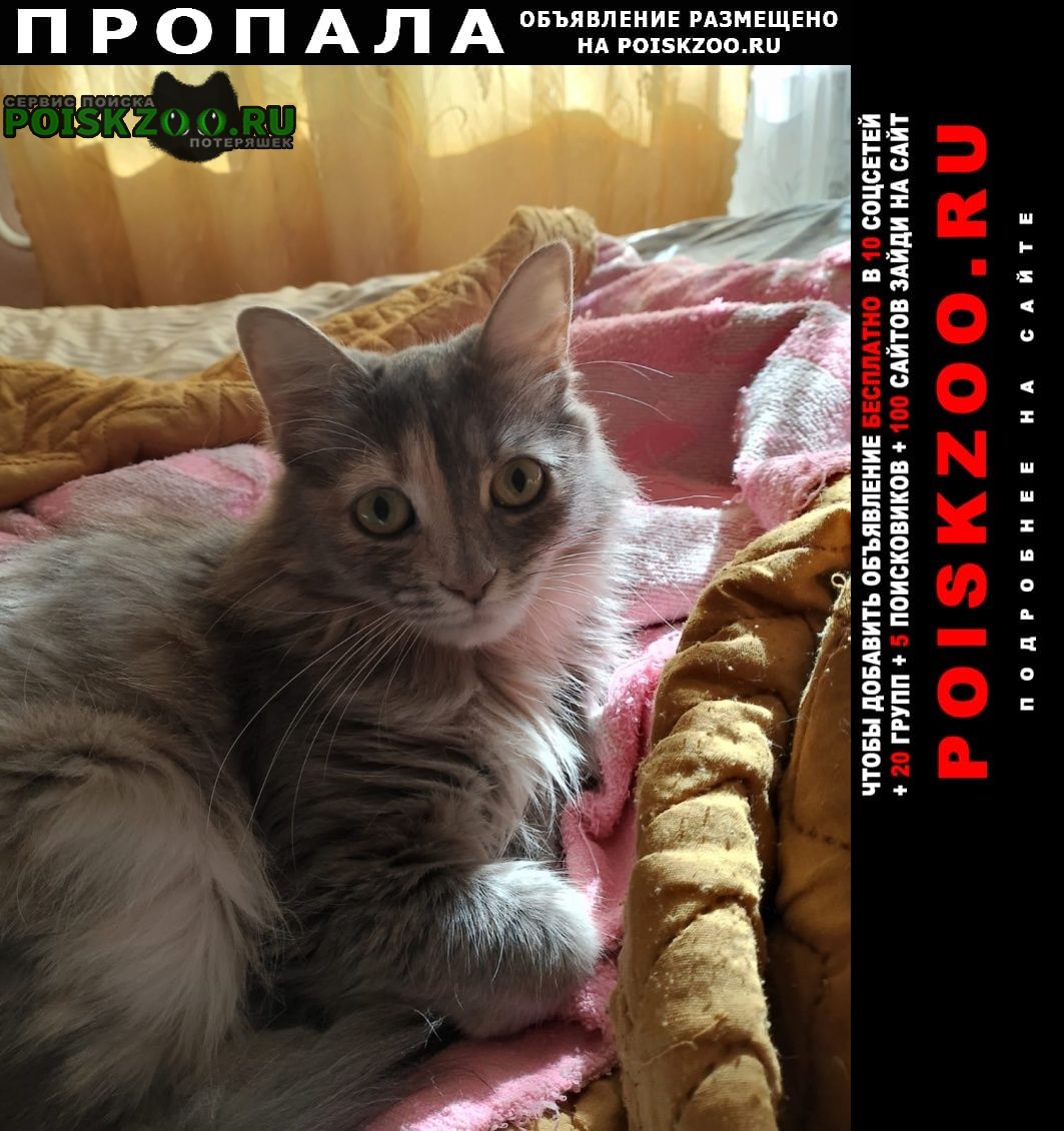 ���� ������� �����