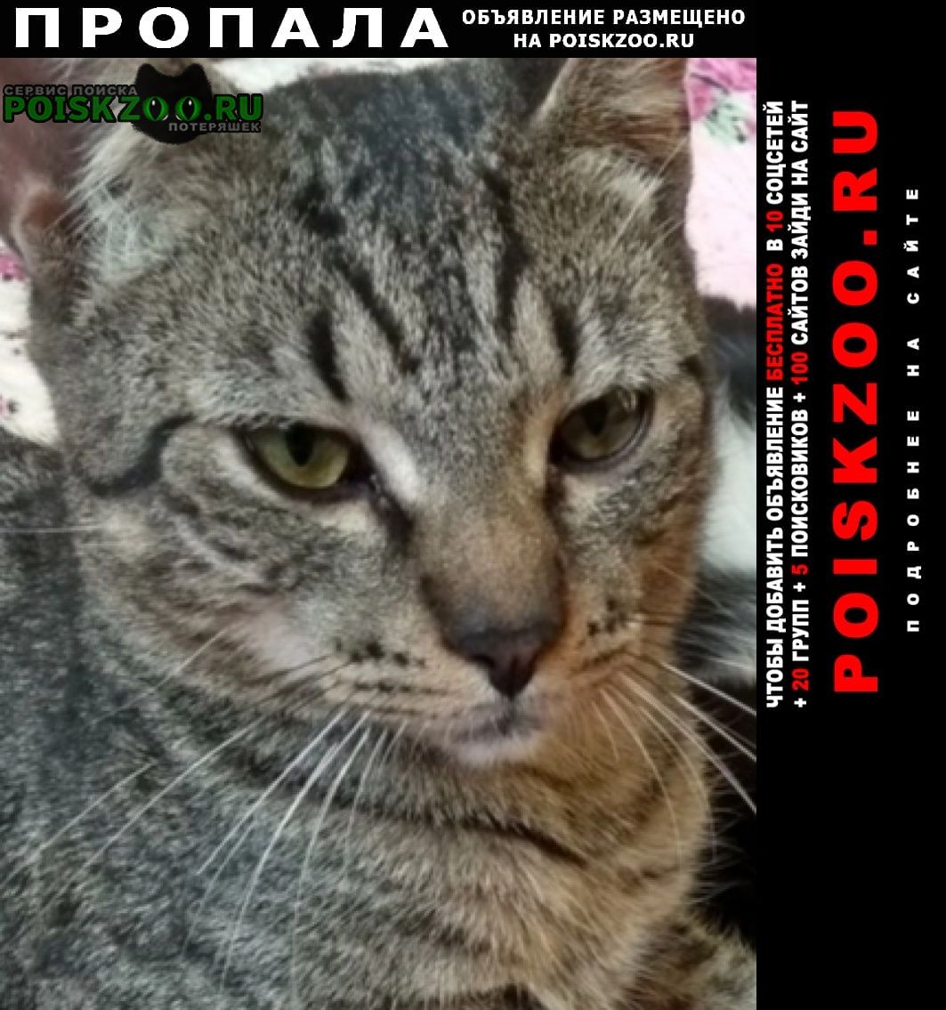 ���� ������ ���