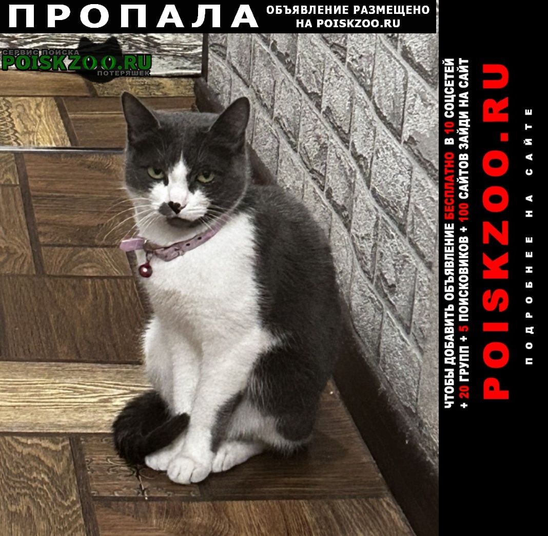 ���� ������� ����� ����