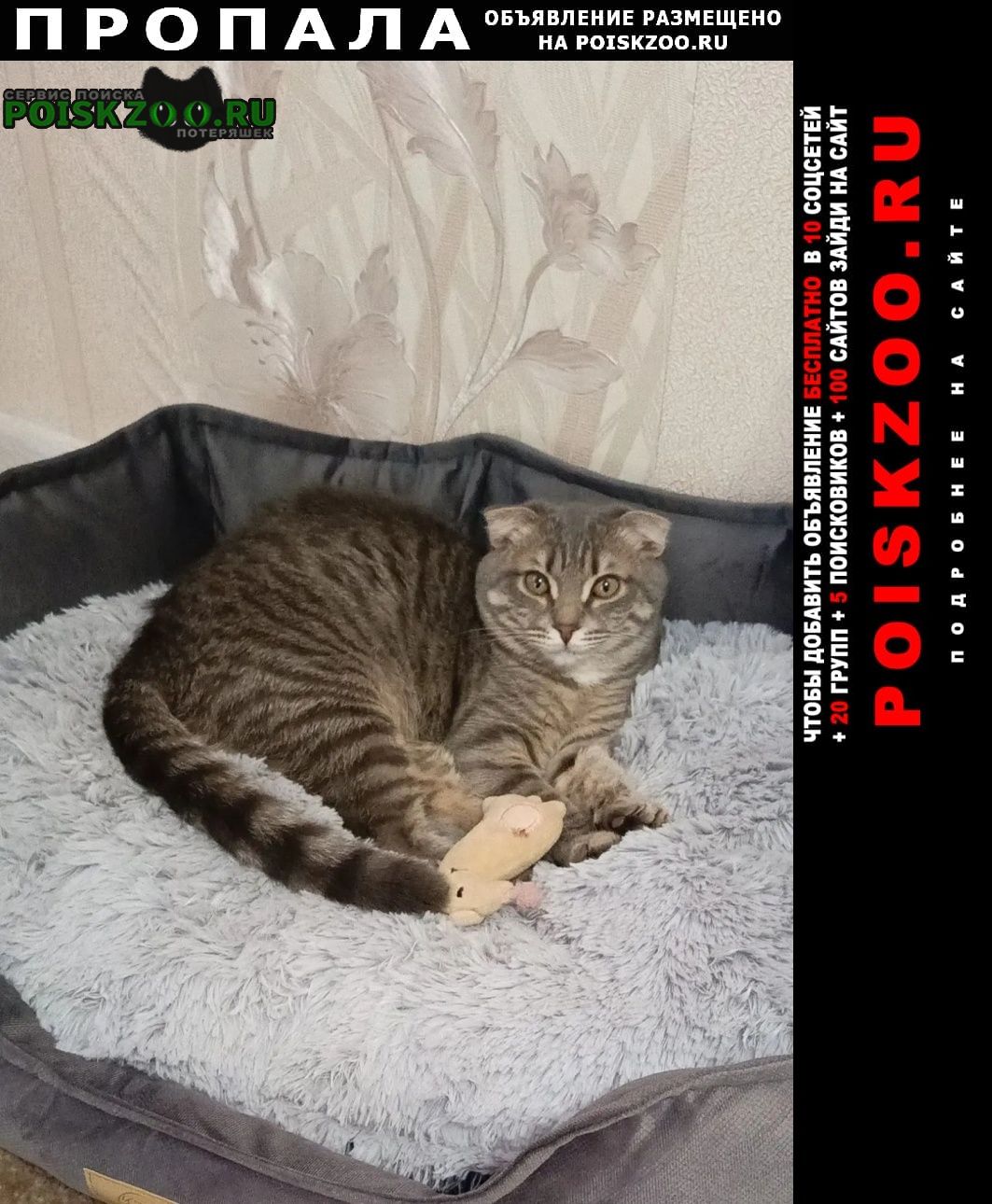 ���� ������� �����.